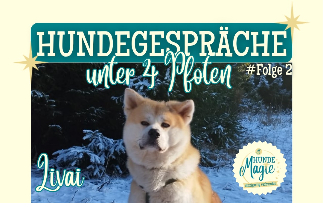 HUNDEGESPRÄCHE unter 4 Pfoten - Wie Hunde die Welt sehen #Folge 2 - Akita Rüde Livai