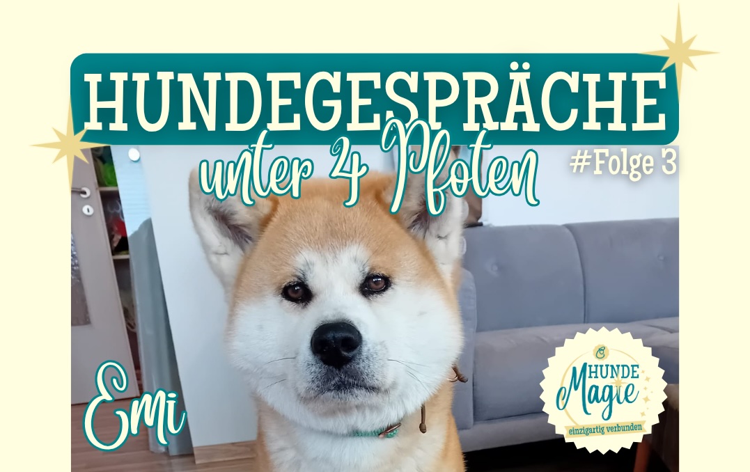 HUNDEGESPRÄCHE unter 4 Pfoten - Wie Hunde die Welt sehen #Folge 3 - Akita-Hündin Emi