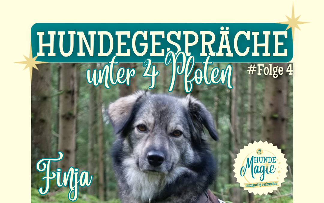 HUNDEGESPRÄCHE unter 4 Pfoten - Wie Hunde die Welt sehen #Folge 4 - Hündin Finja